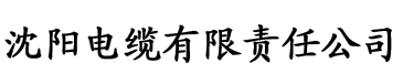 AV无码网址电缆厂logo